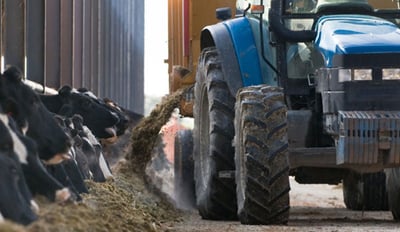 Polyculture tractor for the farming of cows