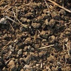 Crumbly soil