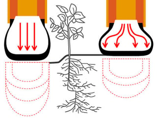 wide footprint for better load distribution